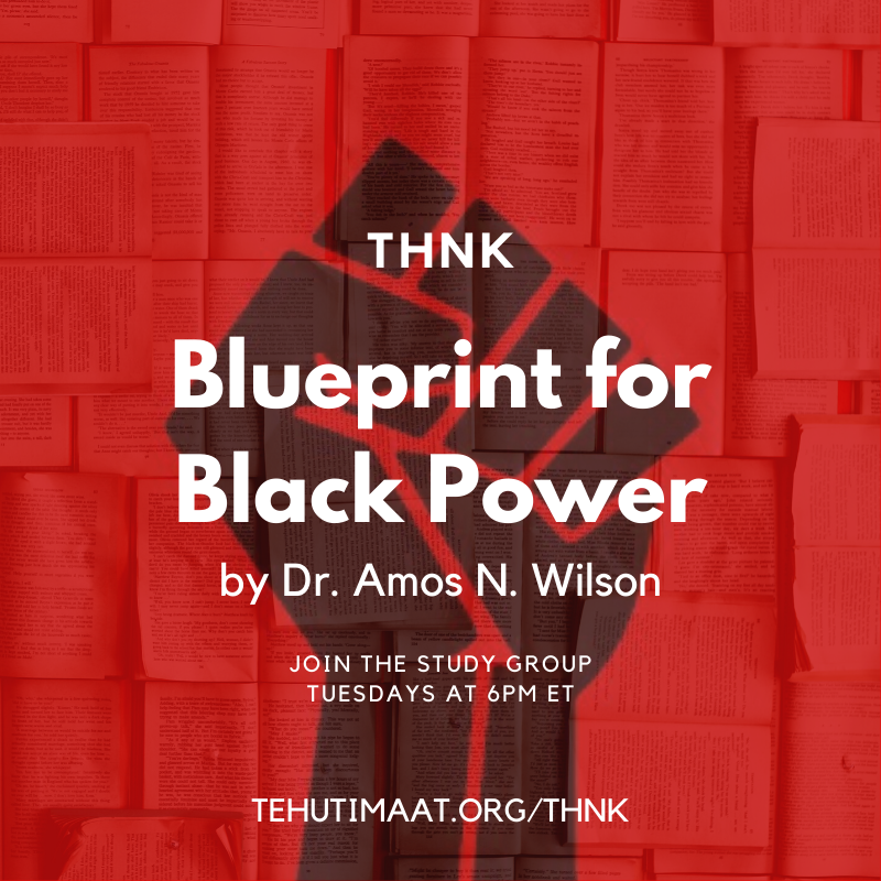 THNK “Blueprint for Black Power”